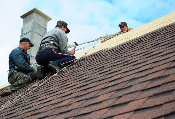 Quick and Trustworthy Emergency Roof Repair Services in Lehi, UT